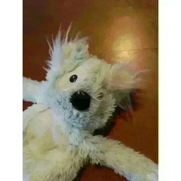 Warmies Single Koala Bear 10" Microwavable See Instructions On Label on Plush - Picture 3 of 5